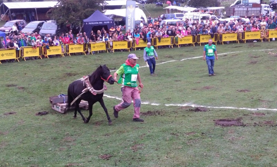 FIESTA DEL ASTURCON EN EL SUEVE